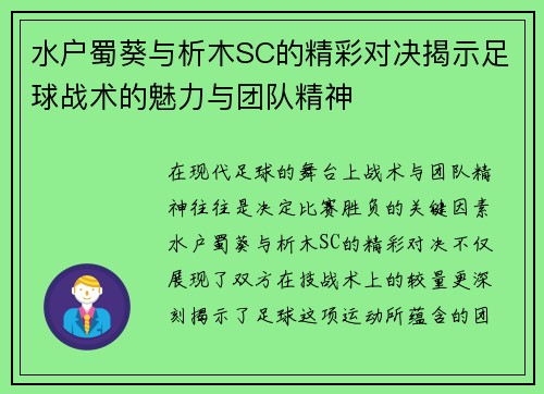 水户蜀葵与析木SC的精彩对决揭示足球战术的魅力与团队精神